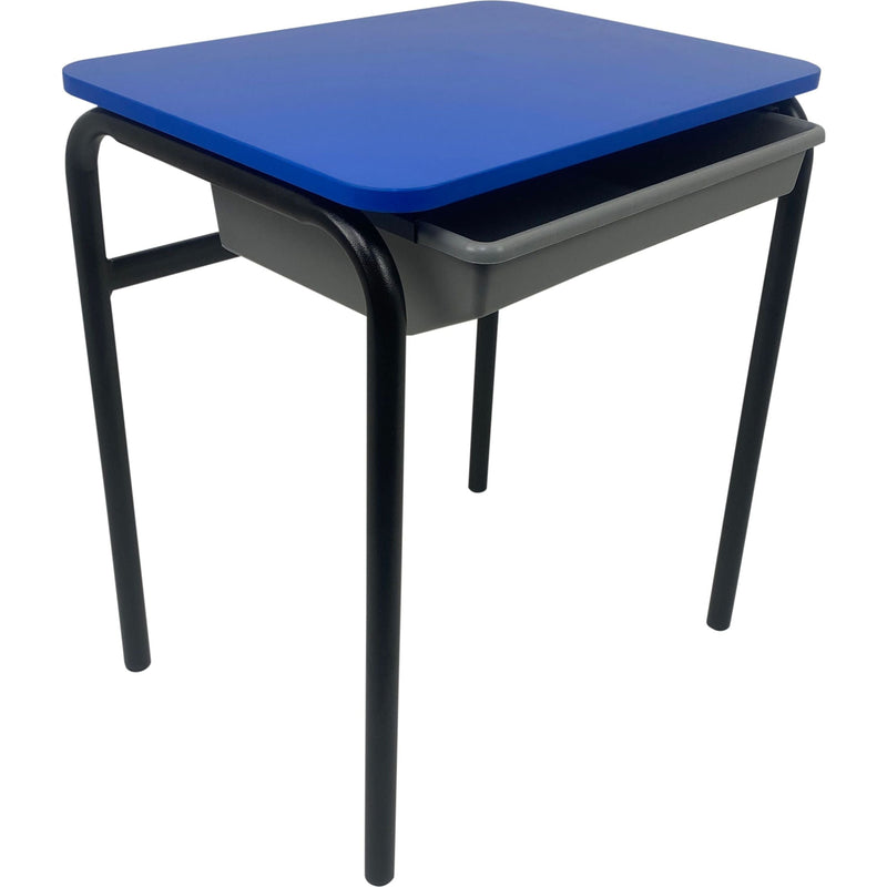 Deluxe Multi Desk w/Tote