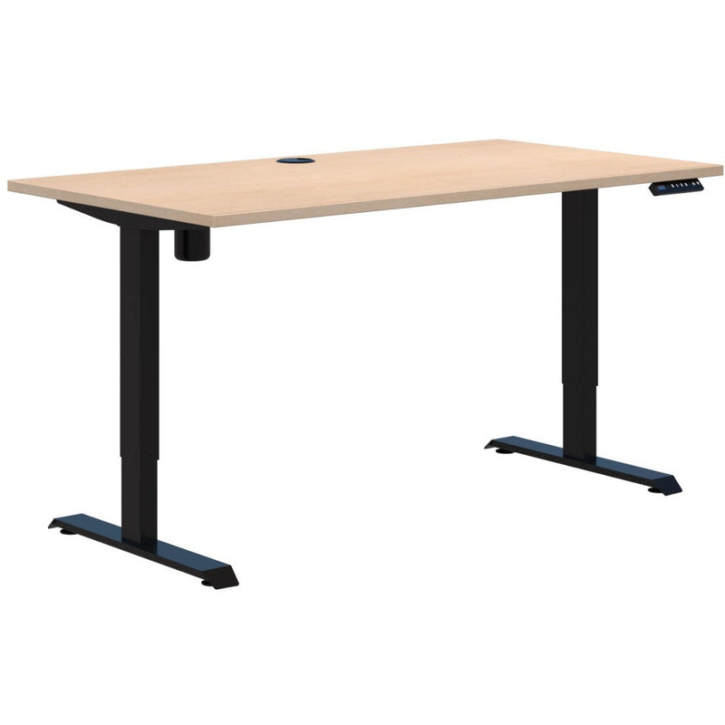 Duo II Electric Height Adjustable Desk - 5 sizes-Sit Stand Desk-Smart Office Furniture