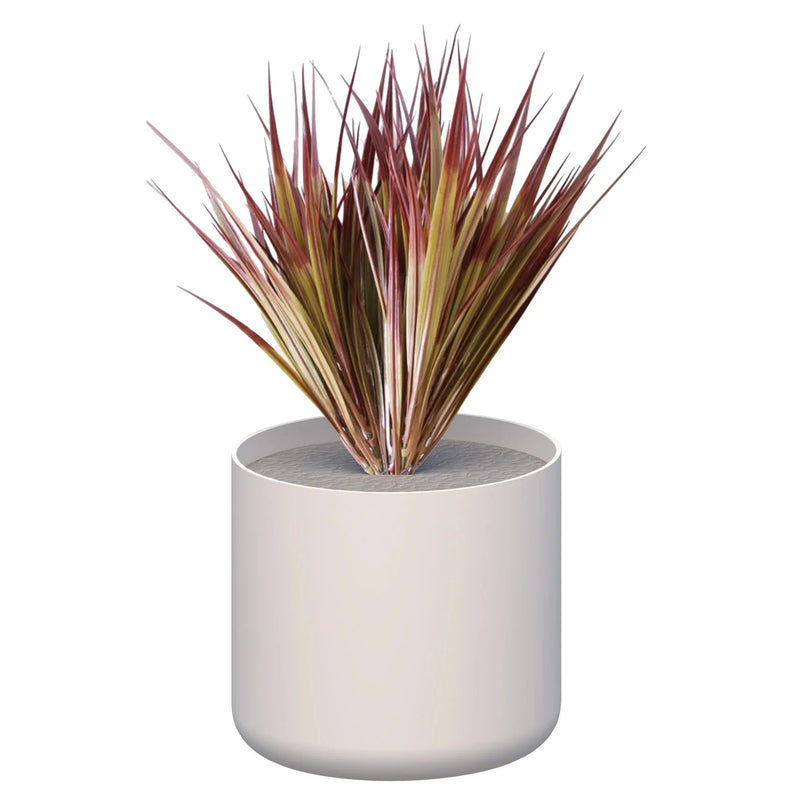 Premium Pots inc Grasses