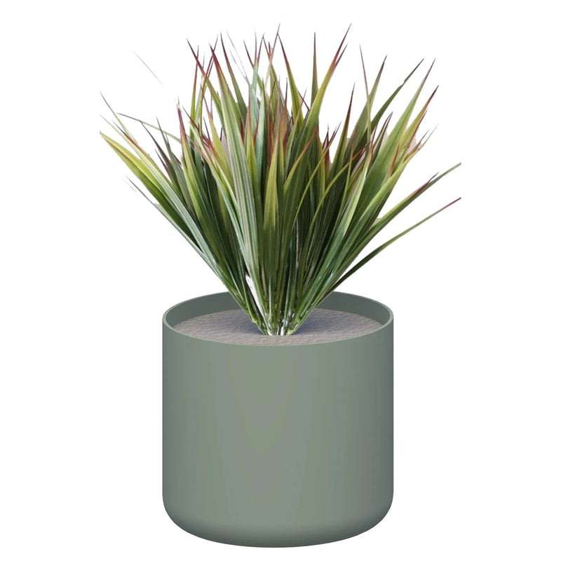 Premium Pots inc Grasses