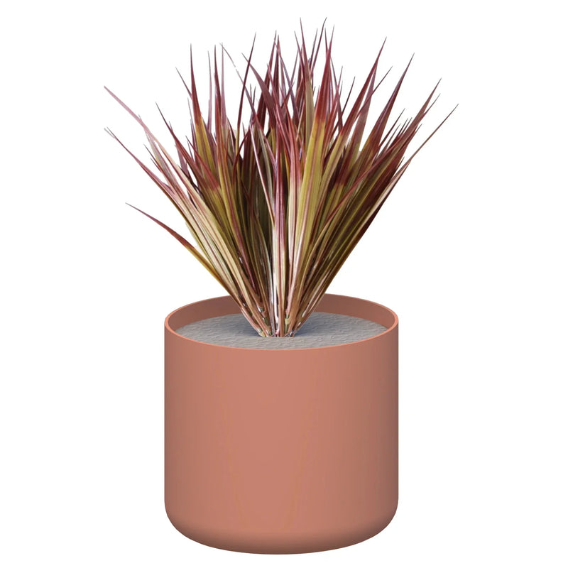 Premium Pots inc Grasses